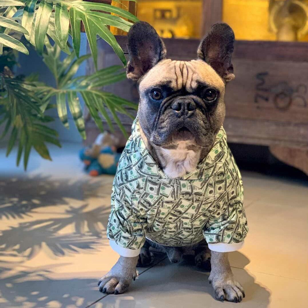 Money Print Dog Hoodie