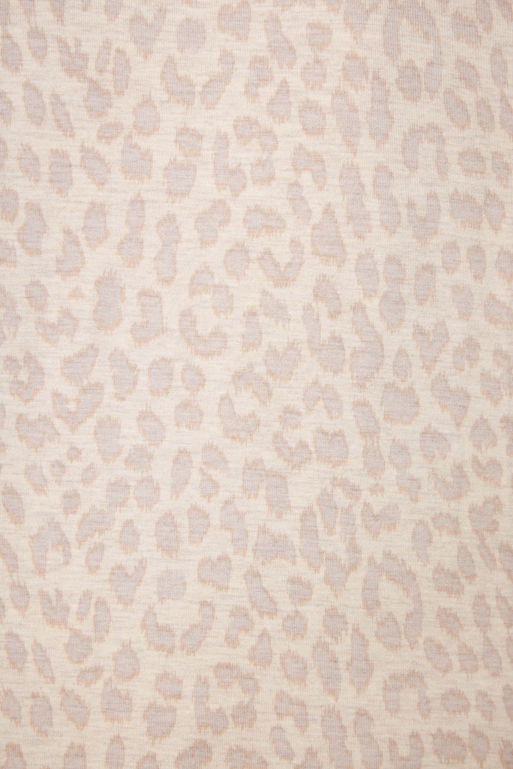 Luxe Leopard Dreams Banded Pants