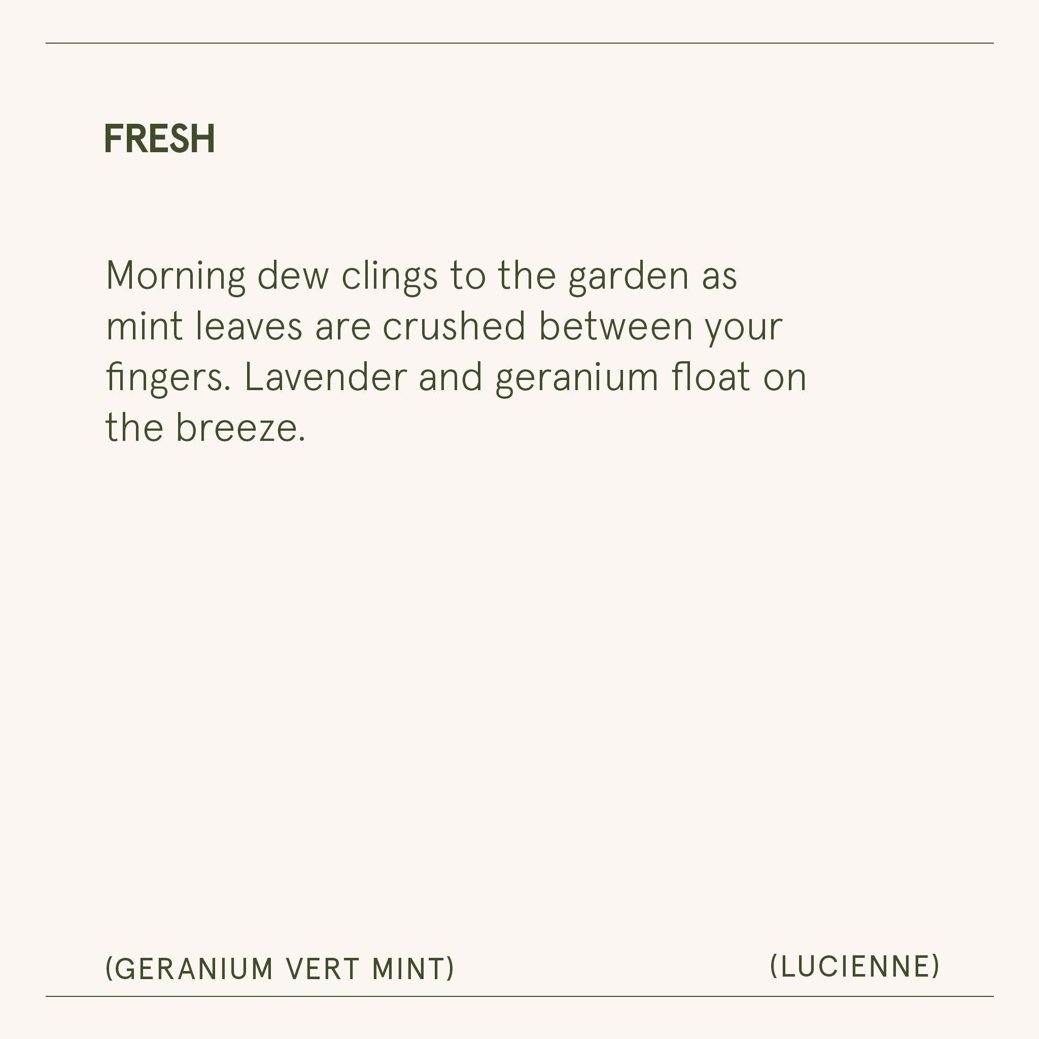 Lucienne - Geranium Vert Mint Candle