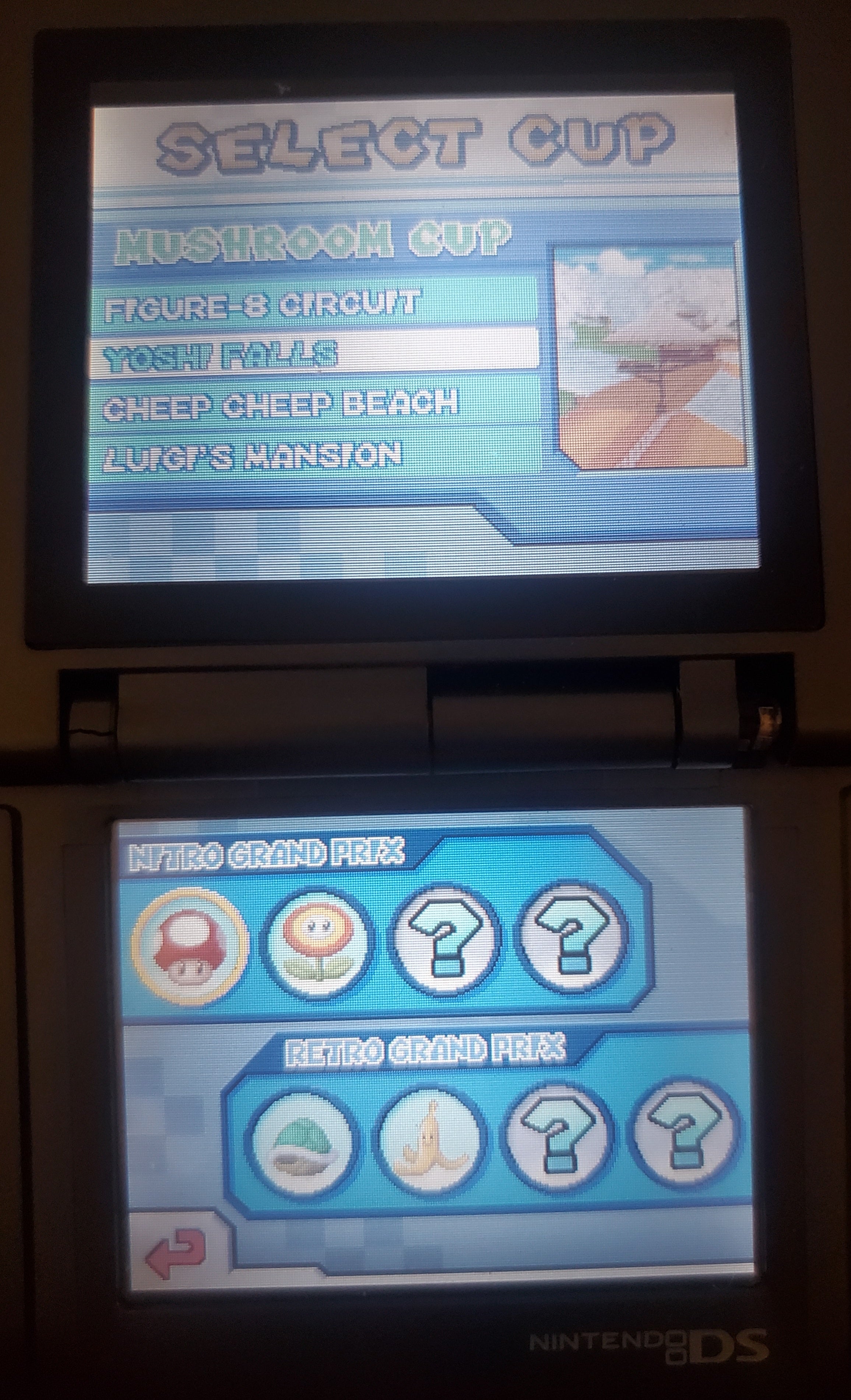 Mario Kart DS Video Game Nintendo DS