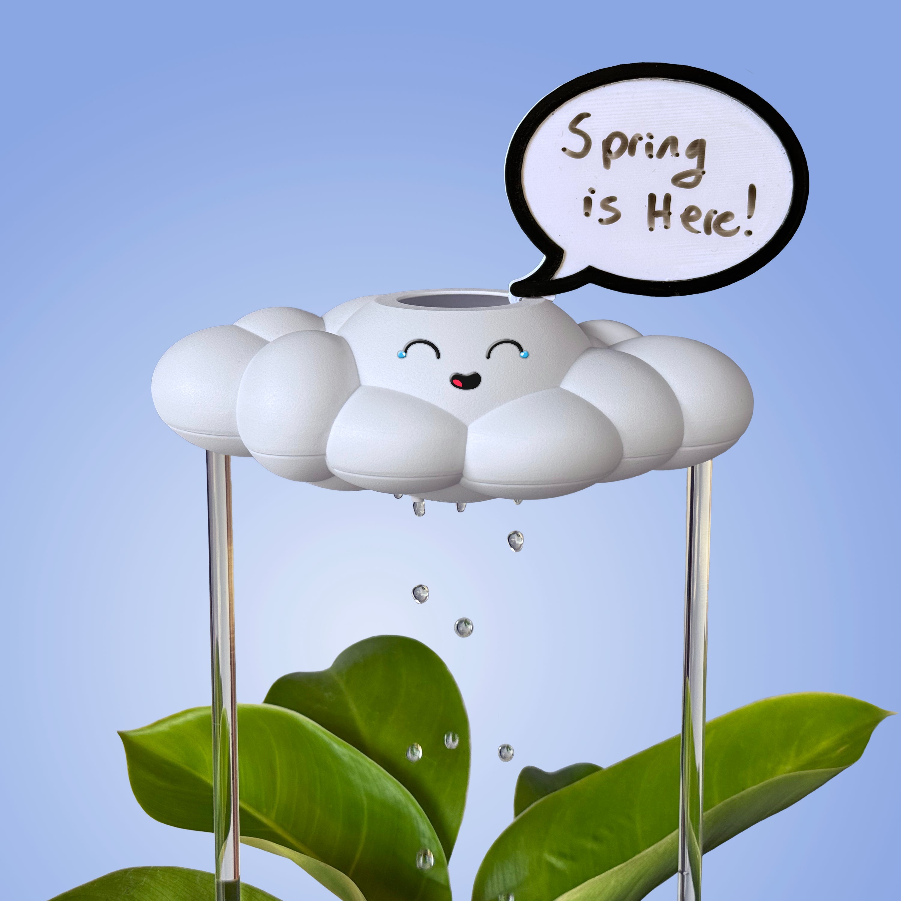 Misty the Cloud