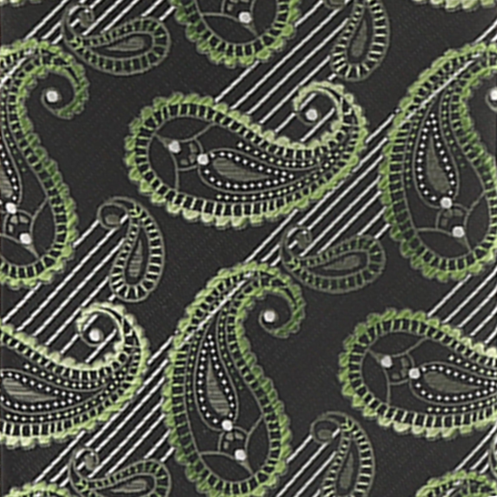 Vittorio Farina Men's Paisley Design Necktie & Pocket Square