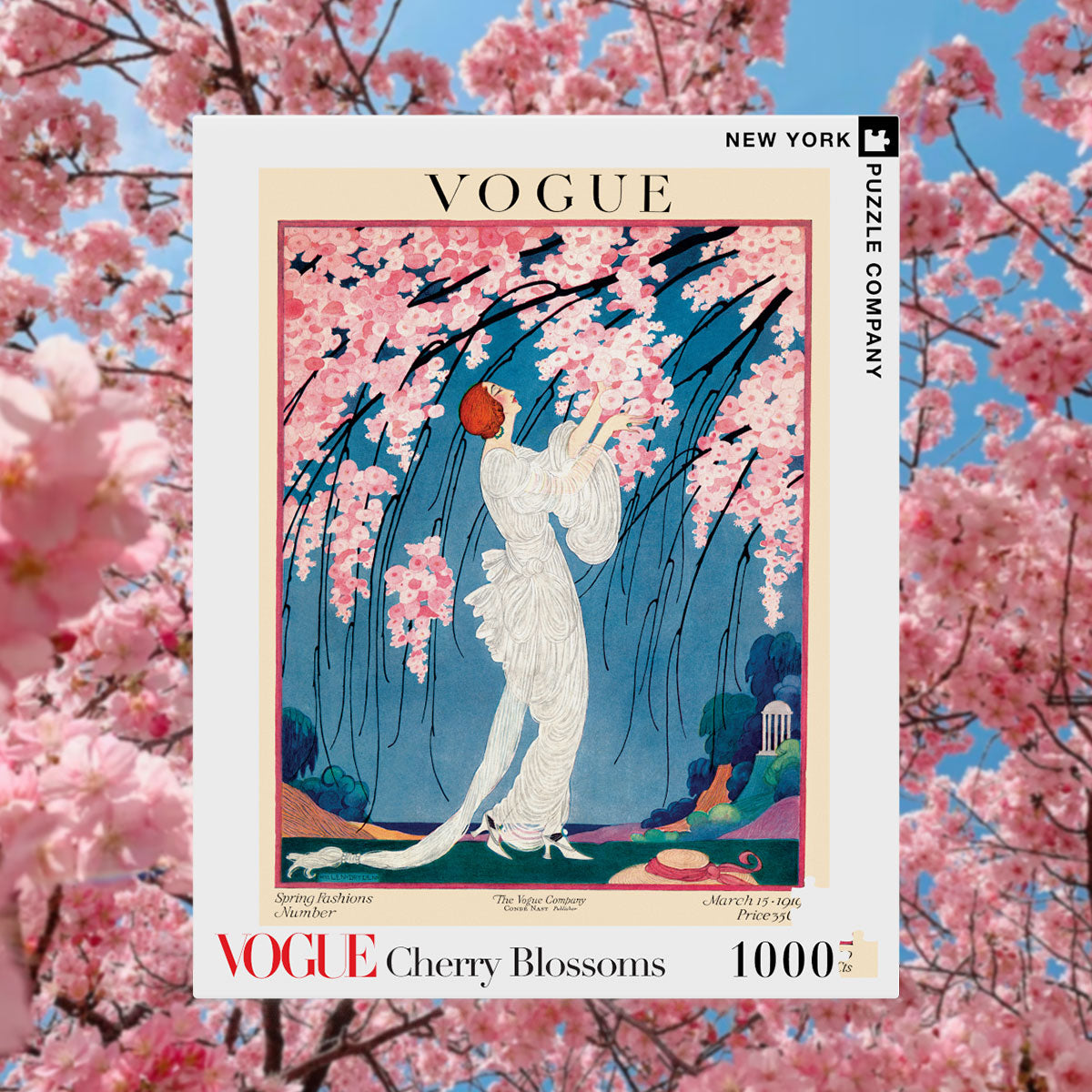 Cherry Blossoms