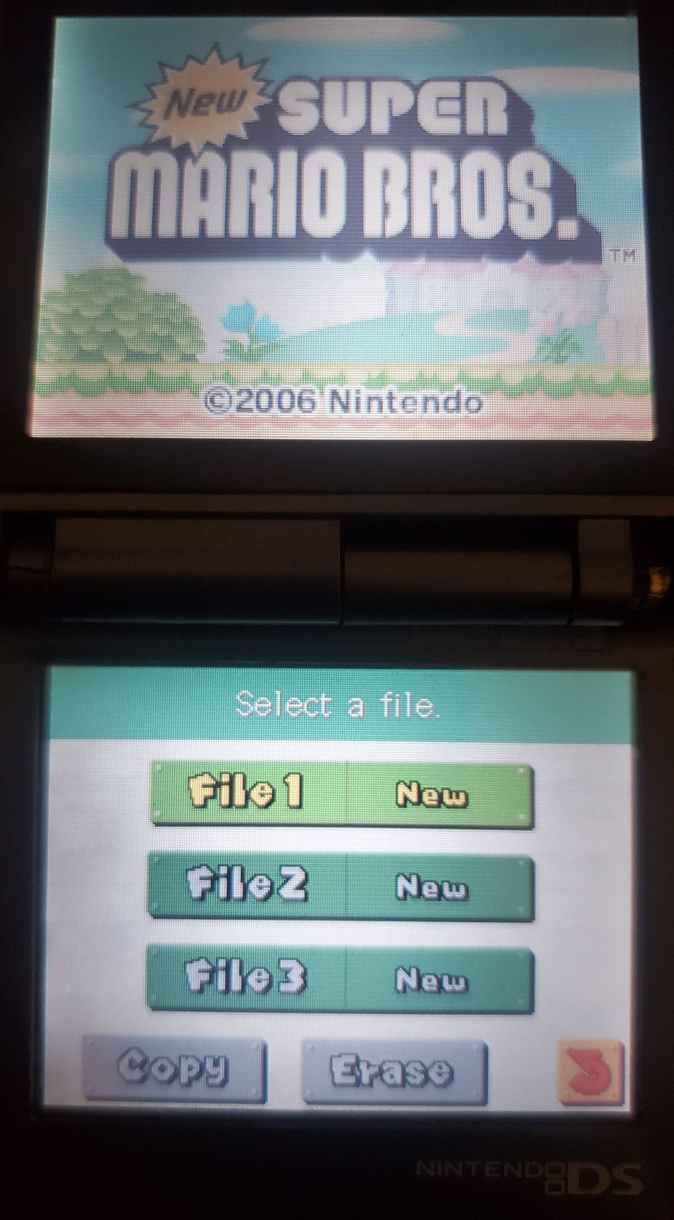 New Super Mario Bros NDS Video Game Cartridge Nintendo DS