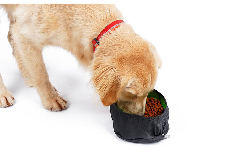Travel Packable Dog Bowl - Blue and Yellow
