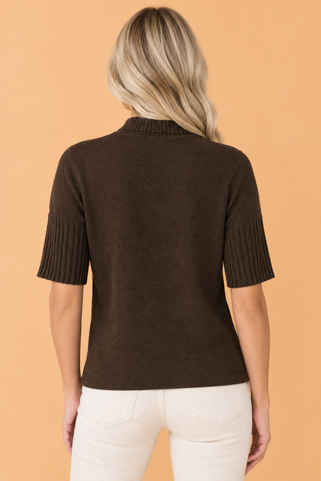 Solid Ribbed Trim Turtleneck Short Sleeve Sweater