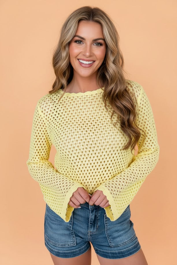 Scalloped Trim Hollow Out Knit Long Sleeve Top