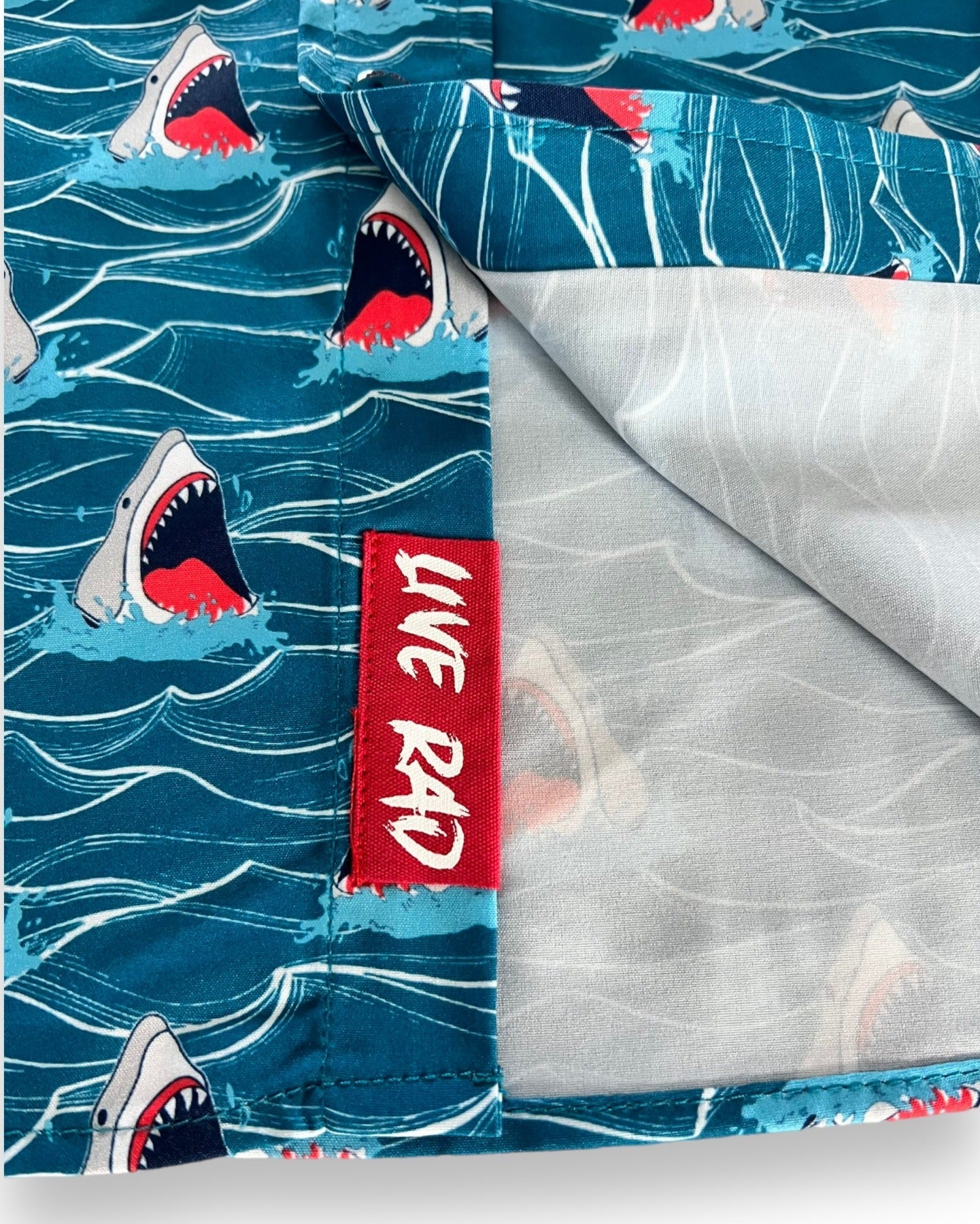 Shark Bait 2
