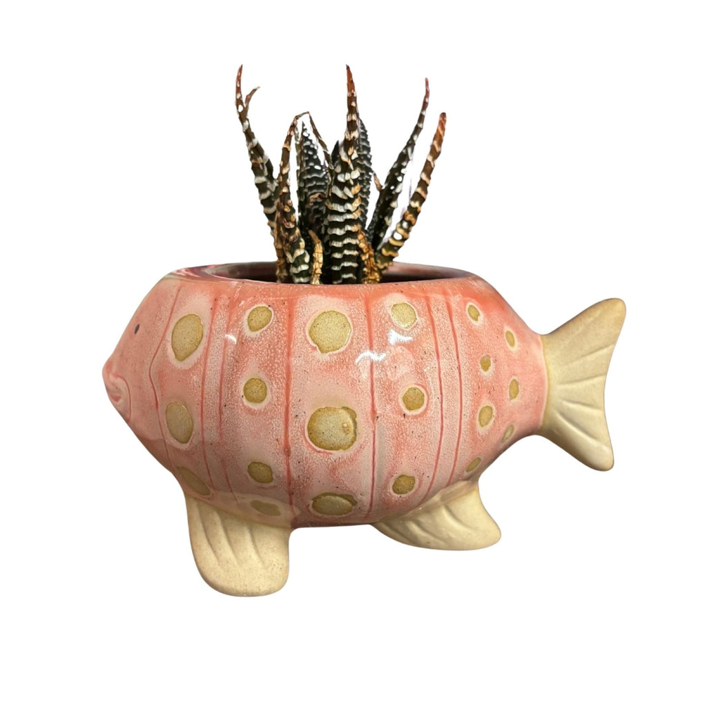 Pink Fish Mini Planter Pot | Tropical Shaped Fish Pot | 5" x 3"