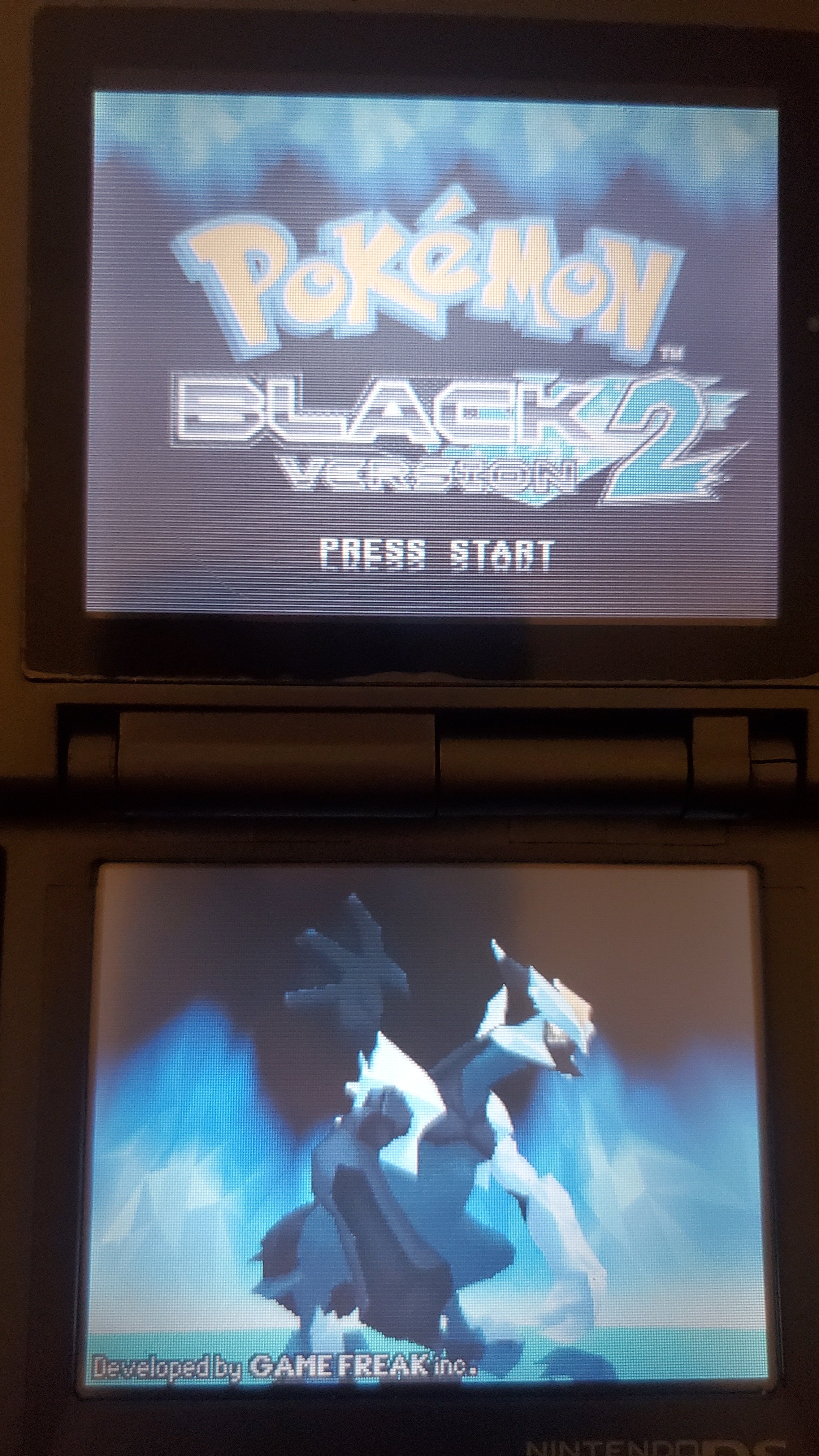 Pokemon Black Version 2 Nintendo DS NDS Video Game Cartridge