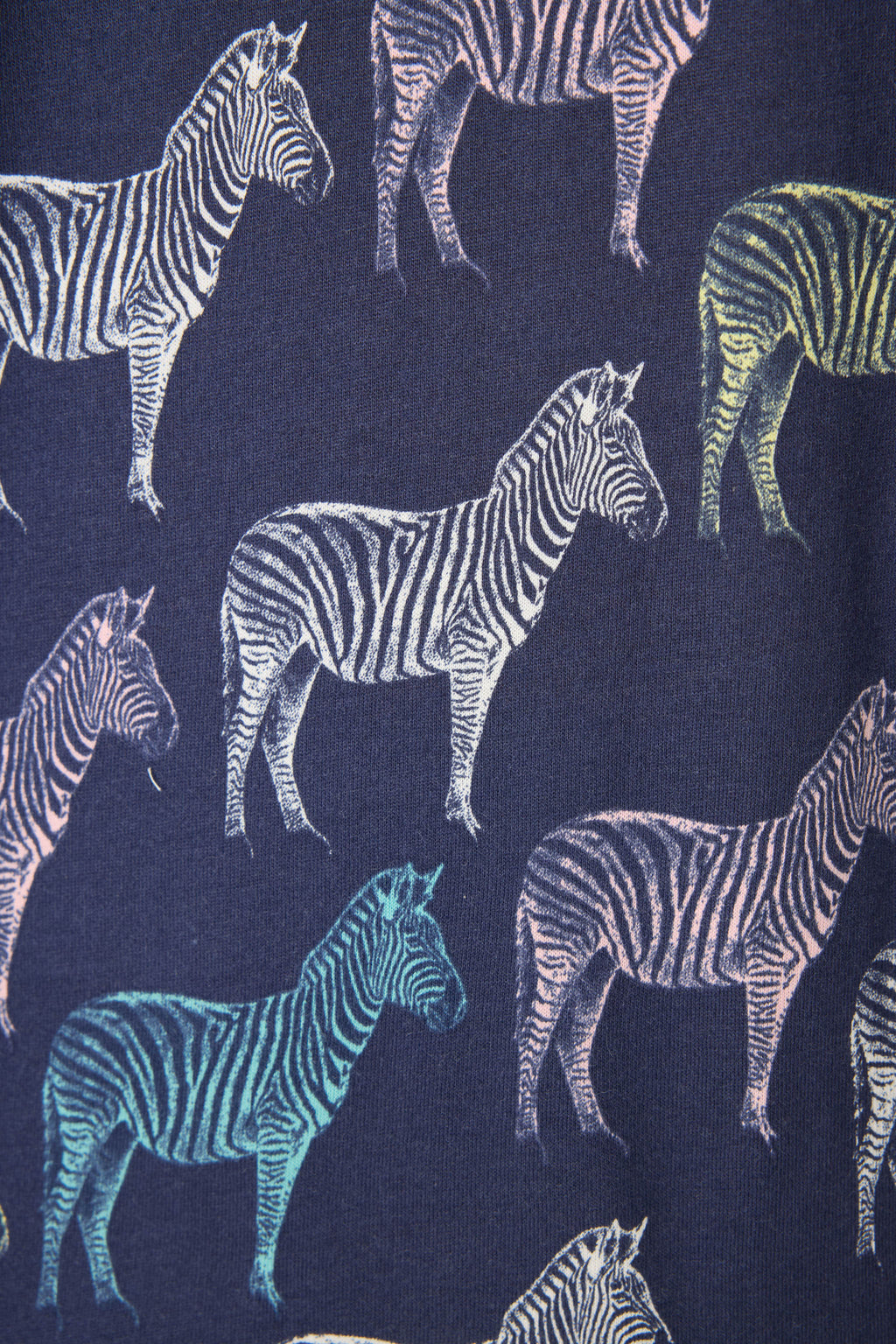 Whimsy Technicolor Safari PJ Set