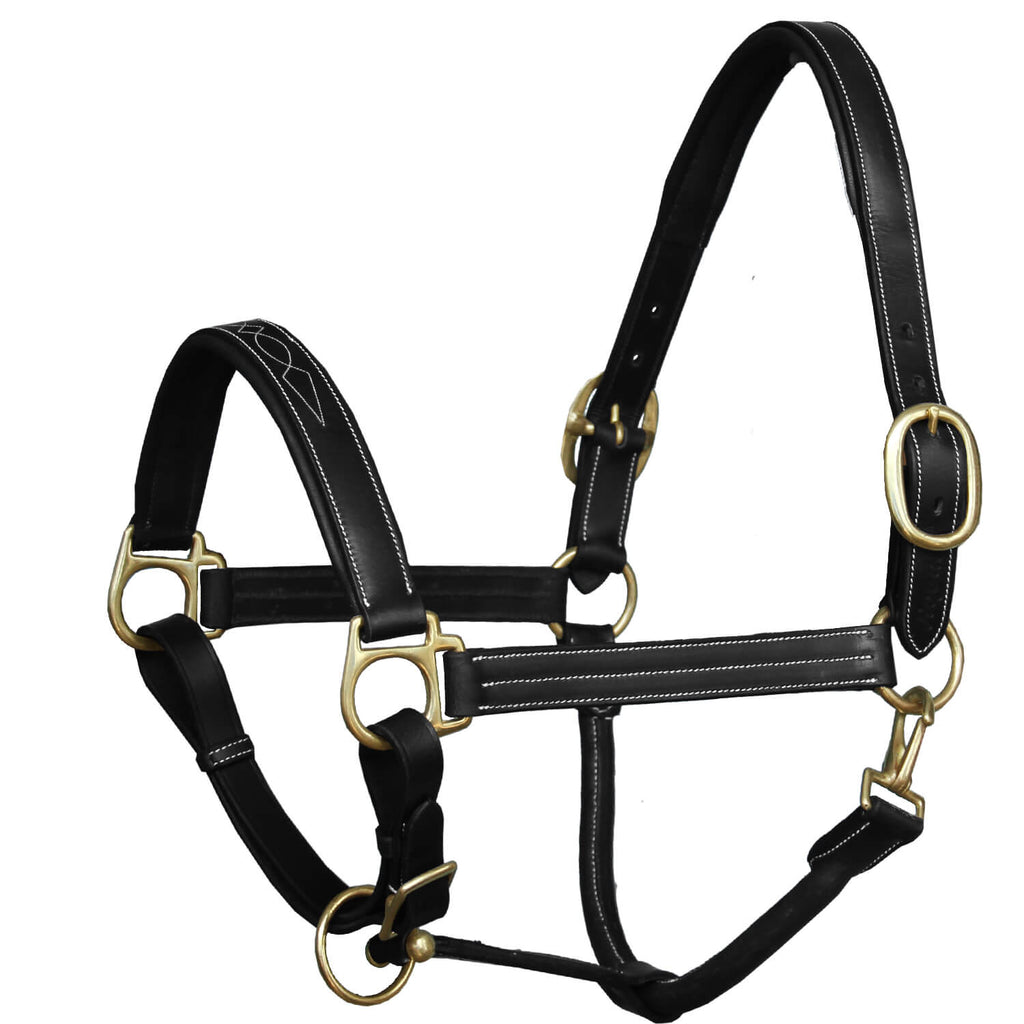 ExionPro Triple Stitched Halter - Brass Hardware