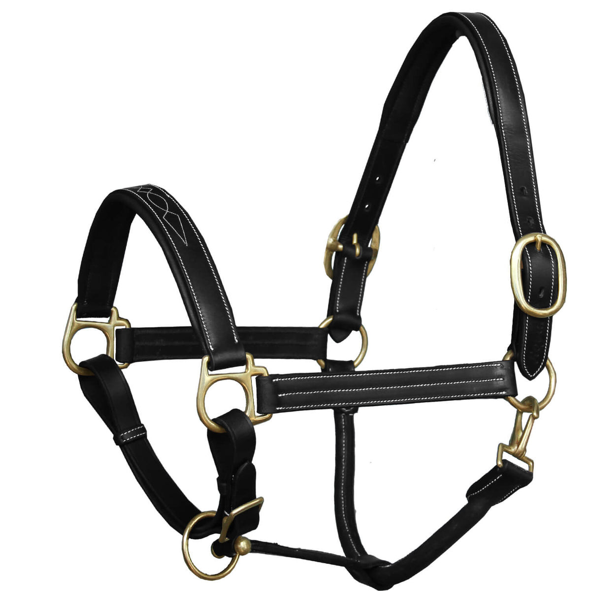 ExionPro Triple Stitched Halter - Brass Hardware