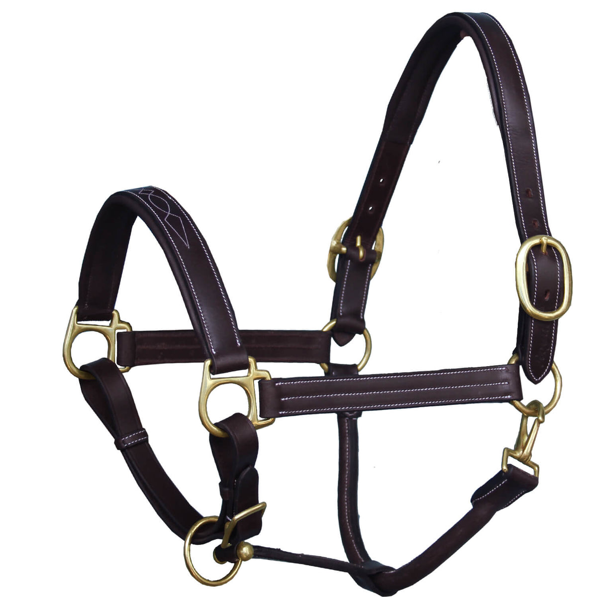 ExionPro Triple Stitched Halter - Brass Hardware