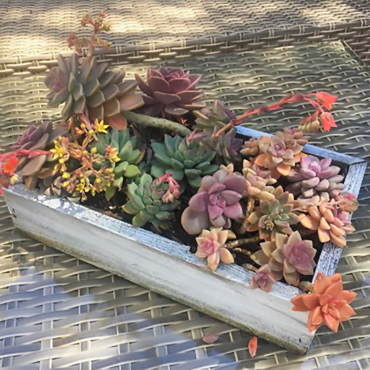 Rustic Redwood Planter Box Set with Rope Handles (9-Piece Collection)