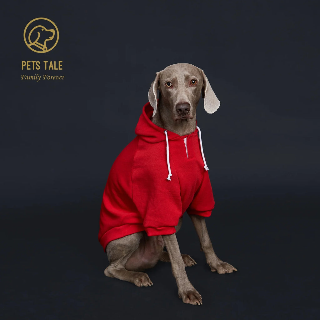 Colorful Dog Hoodie with Pocket & Leather Patch — Cozy Pet Hoodie