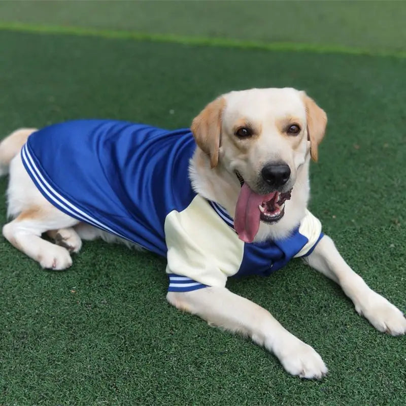 Big Dog Baseball Suit