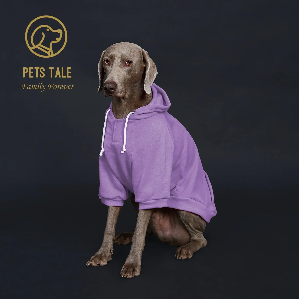 Colorful Dog Hoodie with Pocket & Leather Patch — Cozy Pet Hoodie