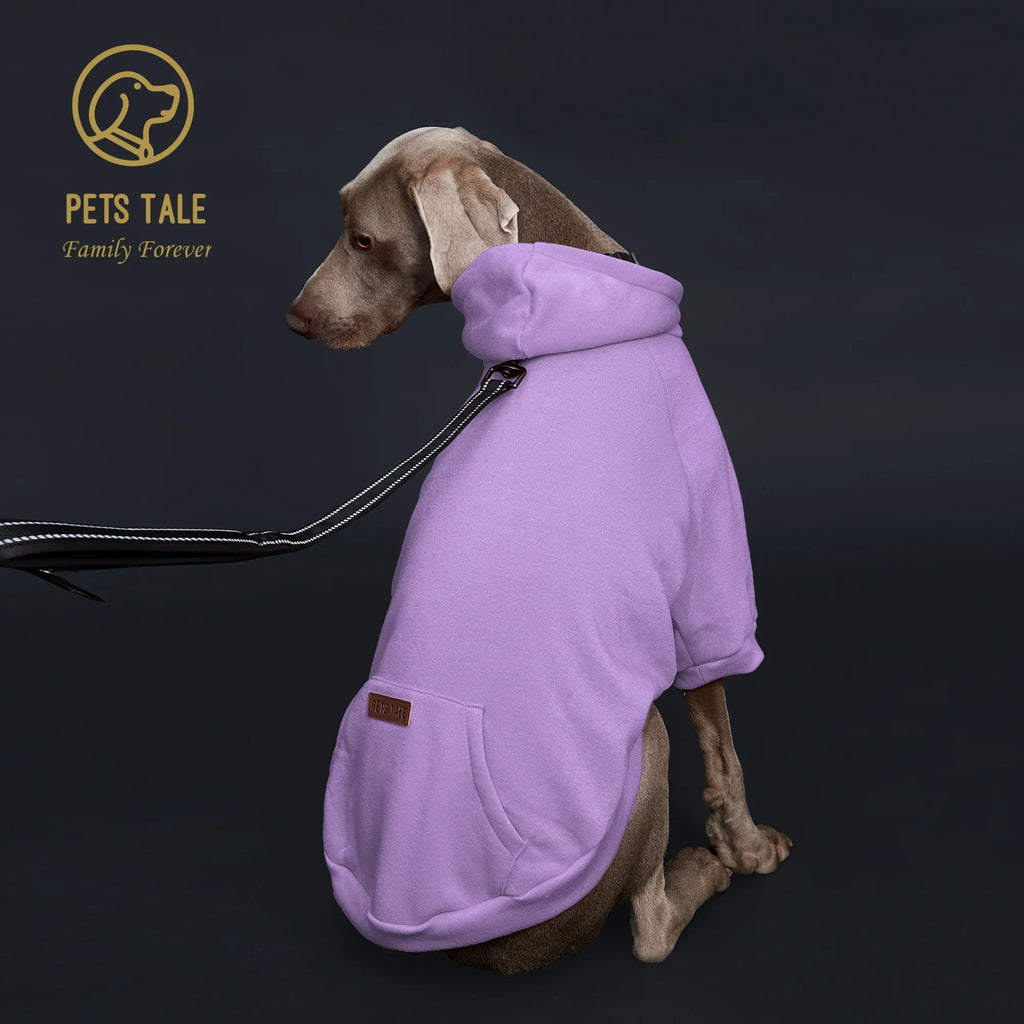 Colorful Dog Hoodie with Pocket & Leather Patch — Cozy Pet Hoodie