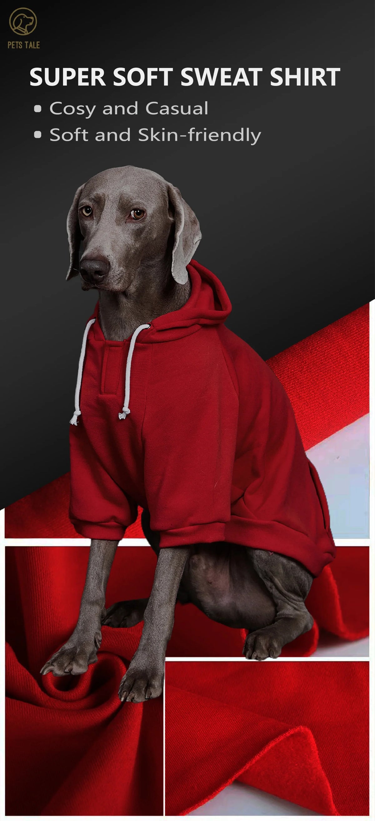 Colorful Dog Hoodie with Pocket & Leather Patch — Cozy Pet Hoodie