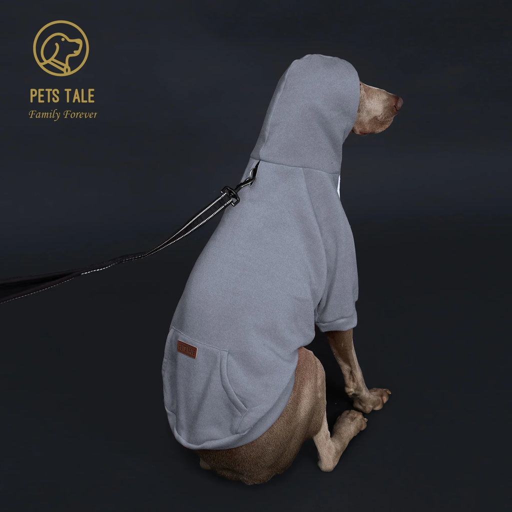 Colorful Dog Hoodie with Pocket & Leather Patch — Cozy Pet Hoodie