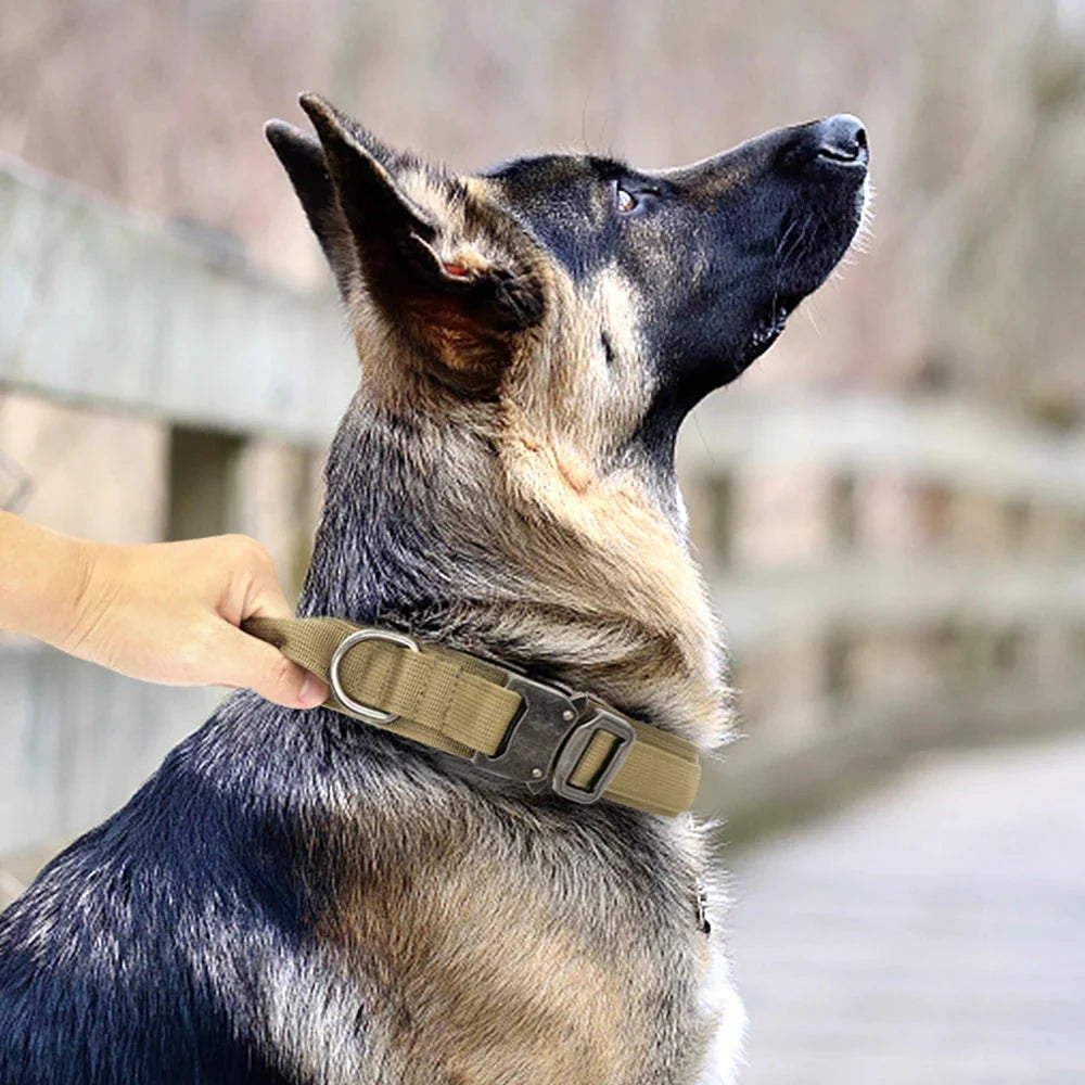The Tactical Luxe Collar & Leash
