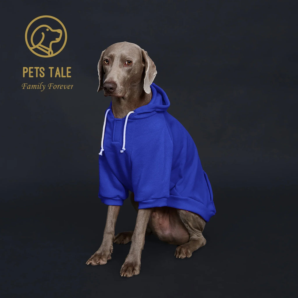 Colorful Dog Hoodie with Pocket & Leather Patch — Cozy Pet Hoodie