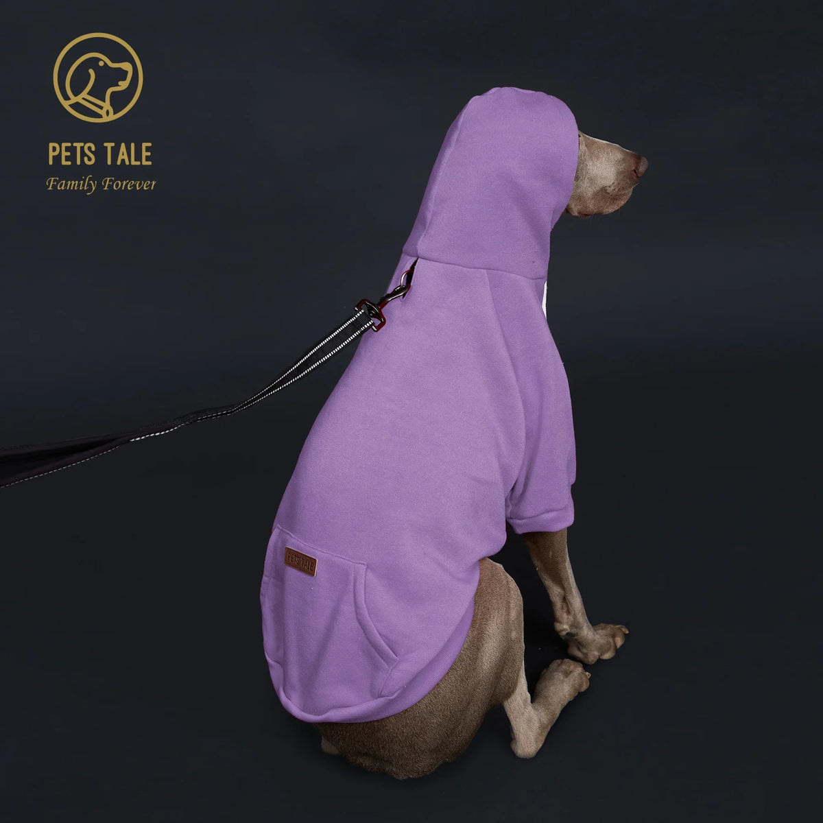 Colorful Dog Hoodie with Pocket & Leather Patch — Cozy Pet Hoodie