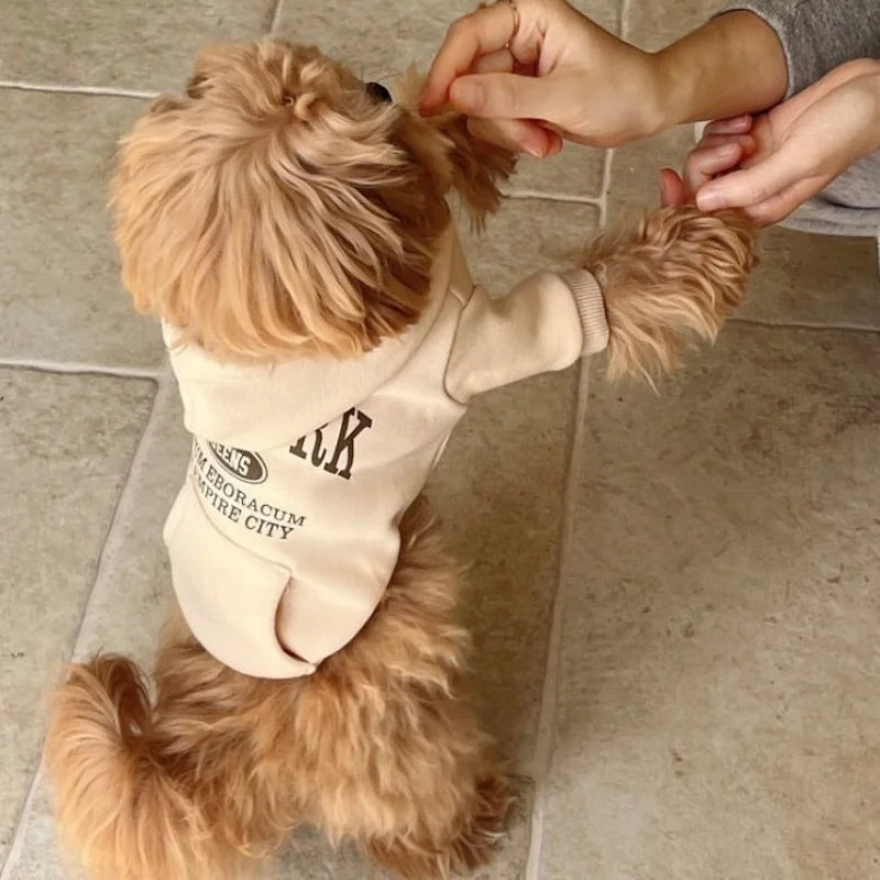Letter Print Dog Hoodie
