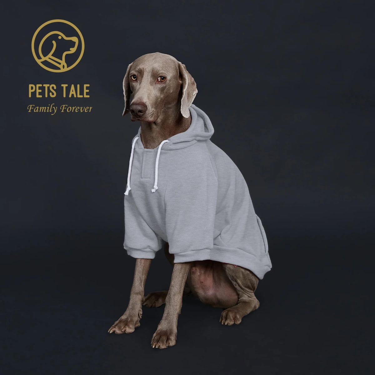 Colorful Dog Hoodie with Pocket & Leather Patch — Cozy Pet Hoodie