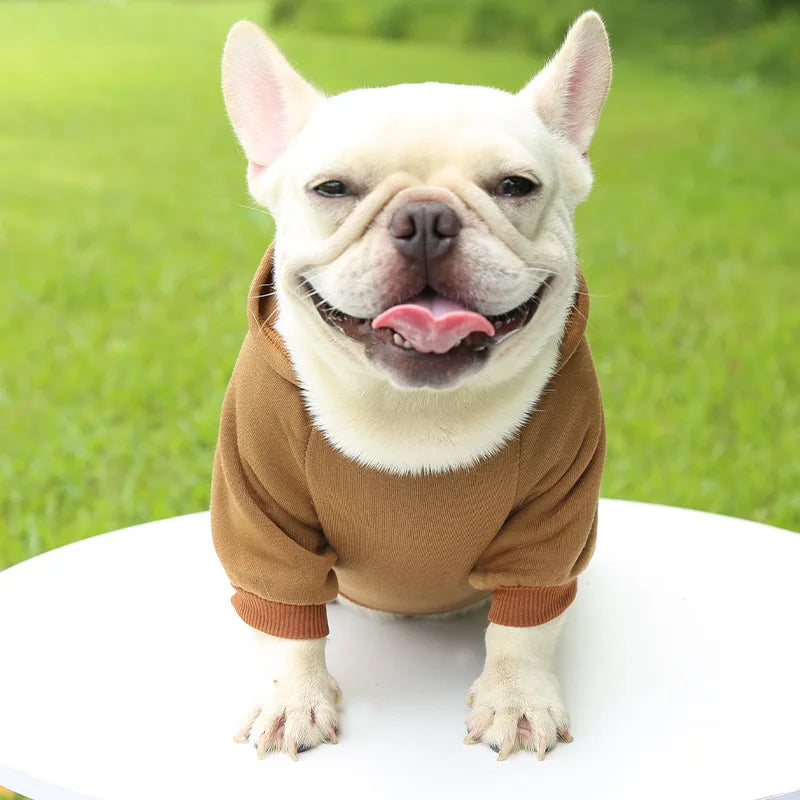 Chapter One Dogs Hood - Warm Winter Hoodie