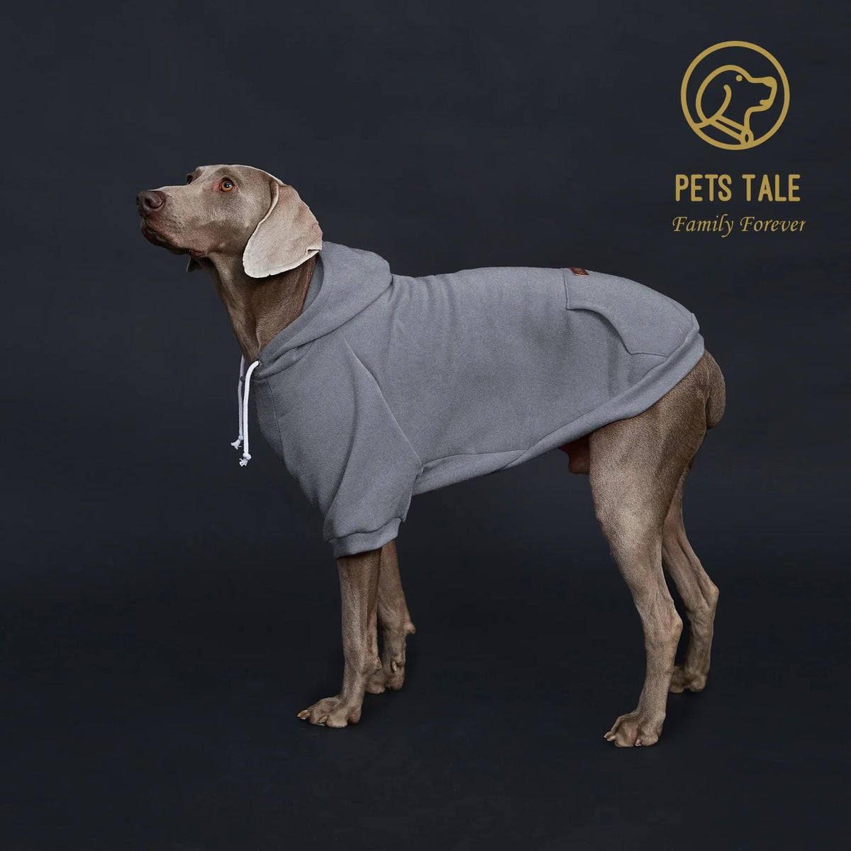 Colorful Dog Hoodie with Pocket & Leather Patch — Cozy Pet Hoodie