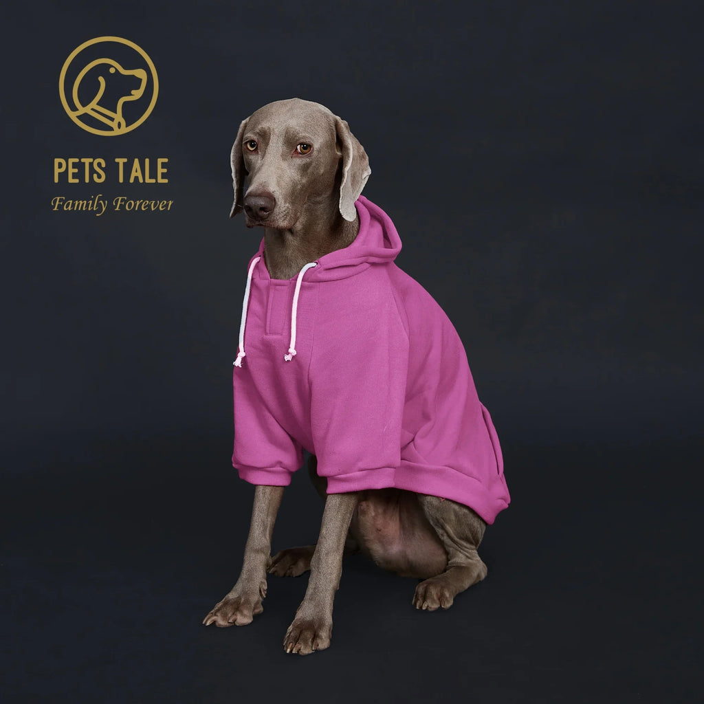 Colorful Dog Hoodie with Pocket & Leather Patch — Cozy Pet Hoodie