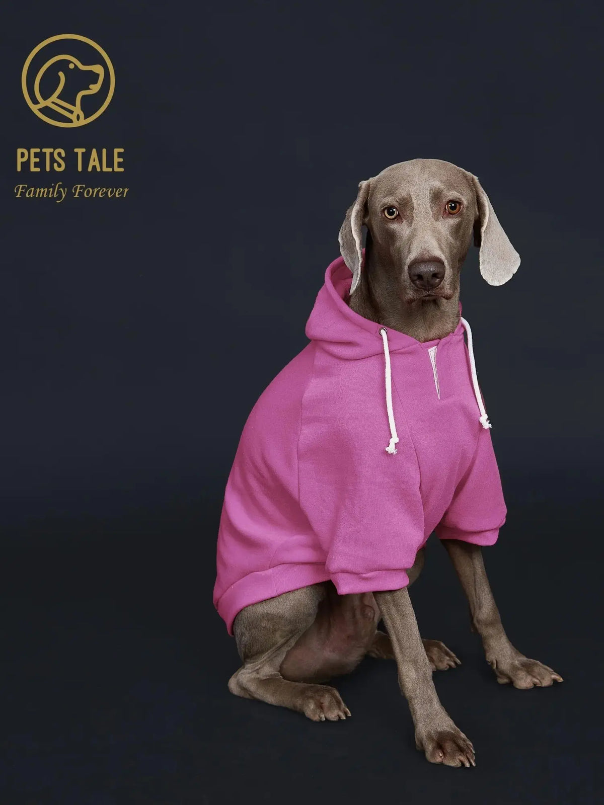 Colorful Dog Hoodie with Pocket & Leather Patch — Cozy Pet Hoodie