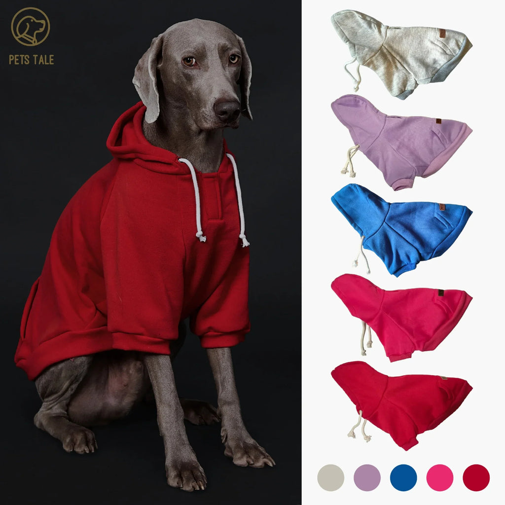 Colorful Dog Hoodie with Pocket & Leather Patch — Cozy Pet Hoodie