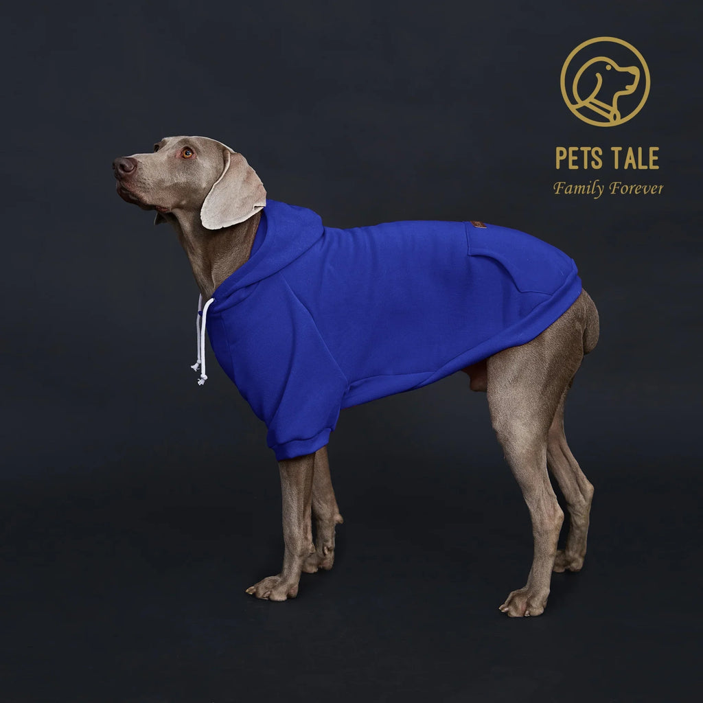 Colorful Dog Hoodie with Pocket & Leather Patch — Cozy Pet Hoodie