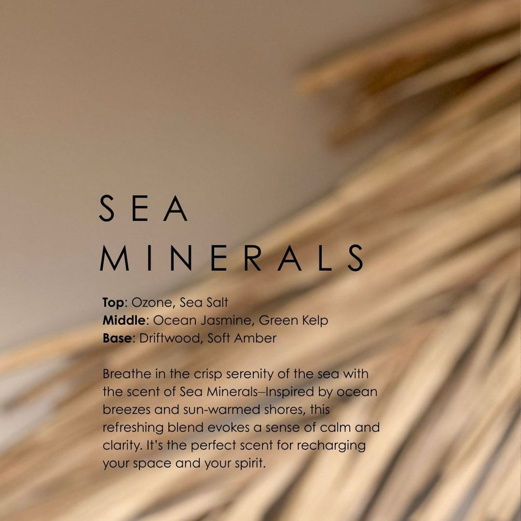 Sea Minerals Car Diffuser
