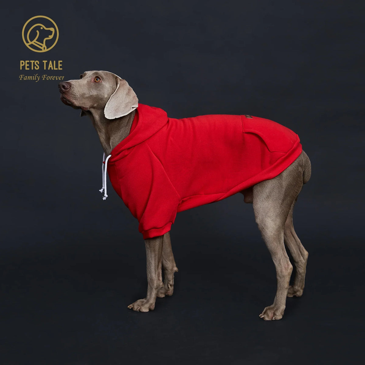 Colorful Dog Hoodie with Pocket & Leather Patch — Cozy Pet Hoodie