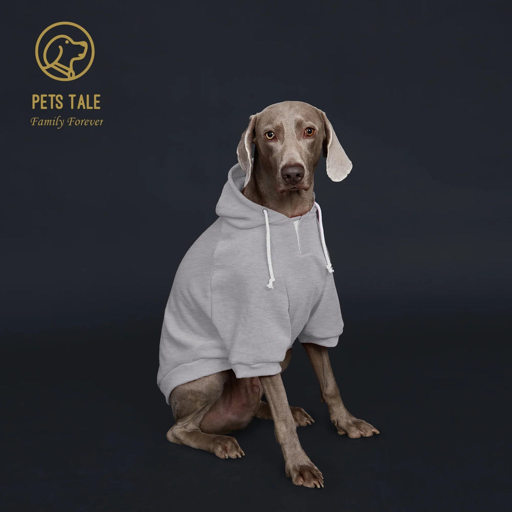 Colorful Dog Hoodie with Pocket & Leather Patch — Cozy Pet Hoodie
