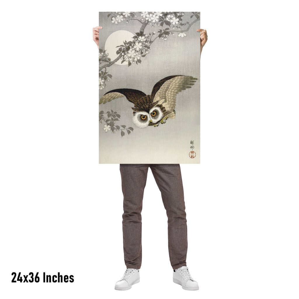 "Scops Owl in Flight" by Ohara Koson Matte Poster