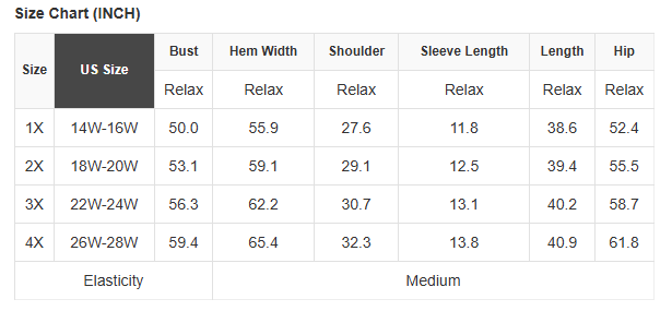 Plus Size Scalloped Hem Button Neck Pullover Mini Dress