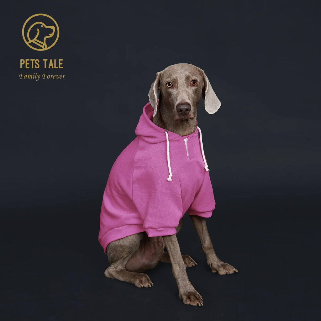Colorful Dog Hoodie with Pocket & Leather Patch — Cozy Pet Hoodie