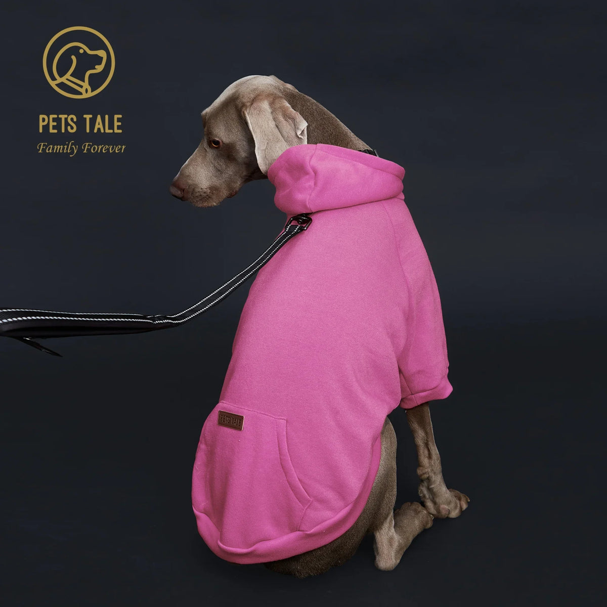Colorful Dog Hoodie with Pocket & Leather Patch — Cozy Pet Hoodie