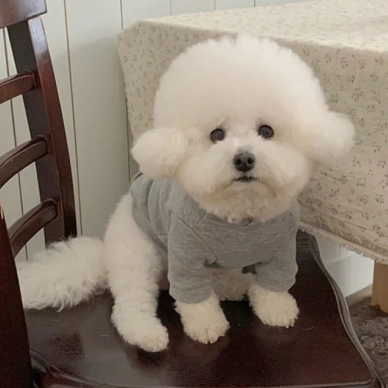 Letter Print Dog Hoodie