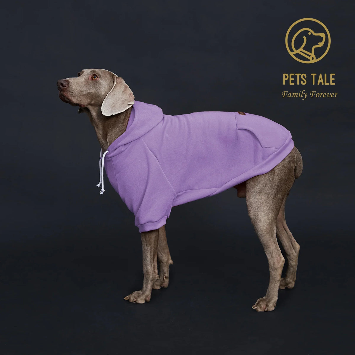 Colorful Dog Hoodie with Pocket & Leather Patch — Cozy Pet Hoodie
