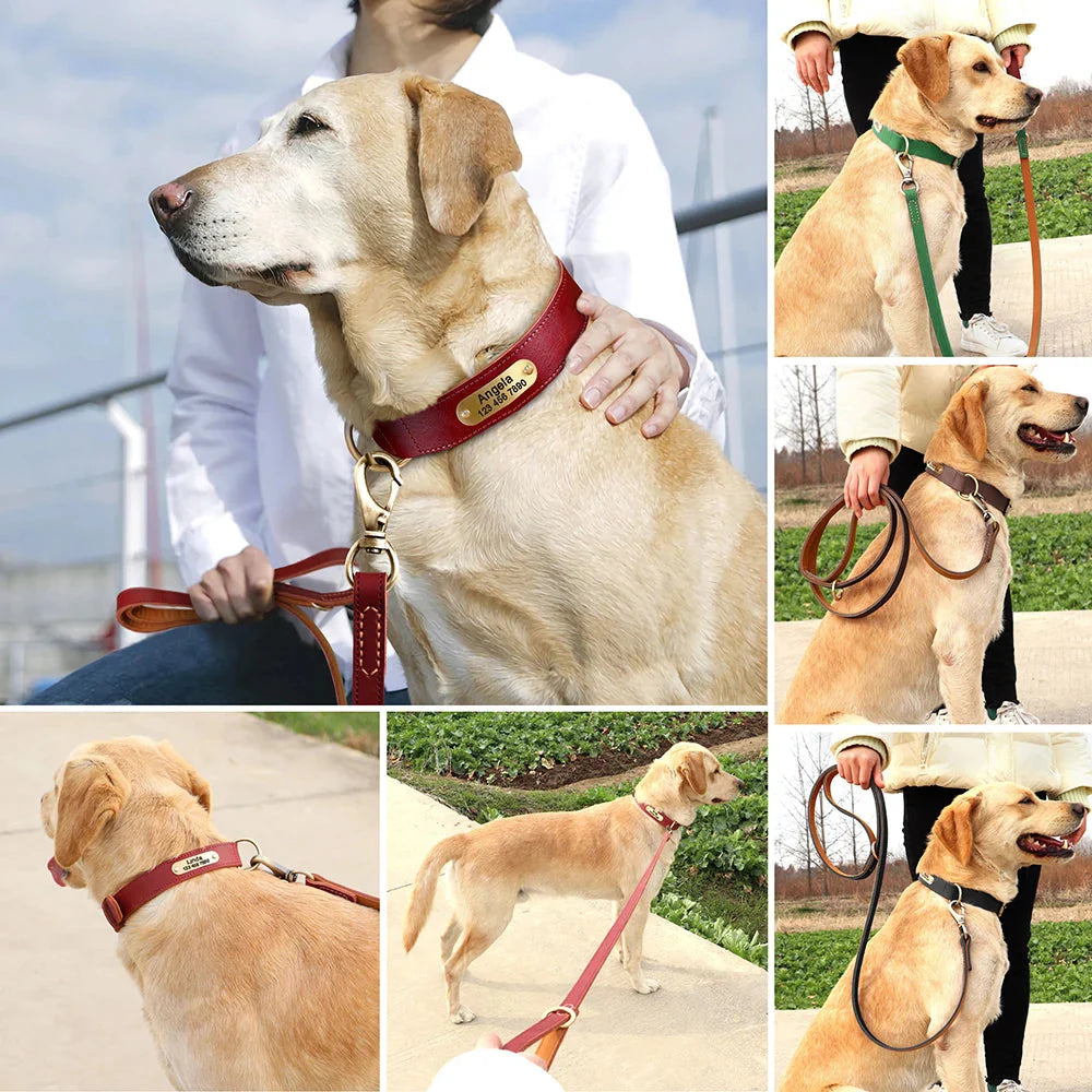 The Classic Leather Lead