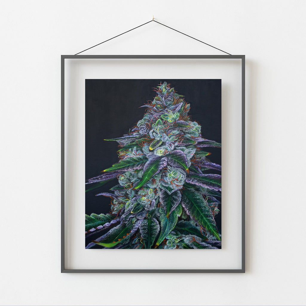 Sour Diesel 8x10 Print