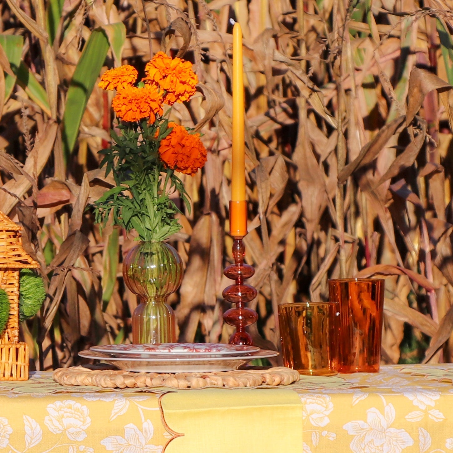 Extra Tall Warm Pumkin Spice Taper Candle, 1 Case of 48 Packs (4 Candles per Pack)