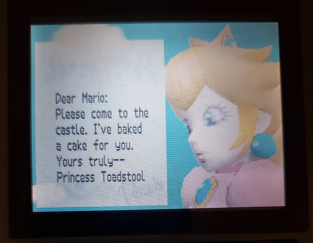 Super Mario 64 DS Nintendo DS Video Game