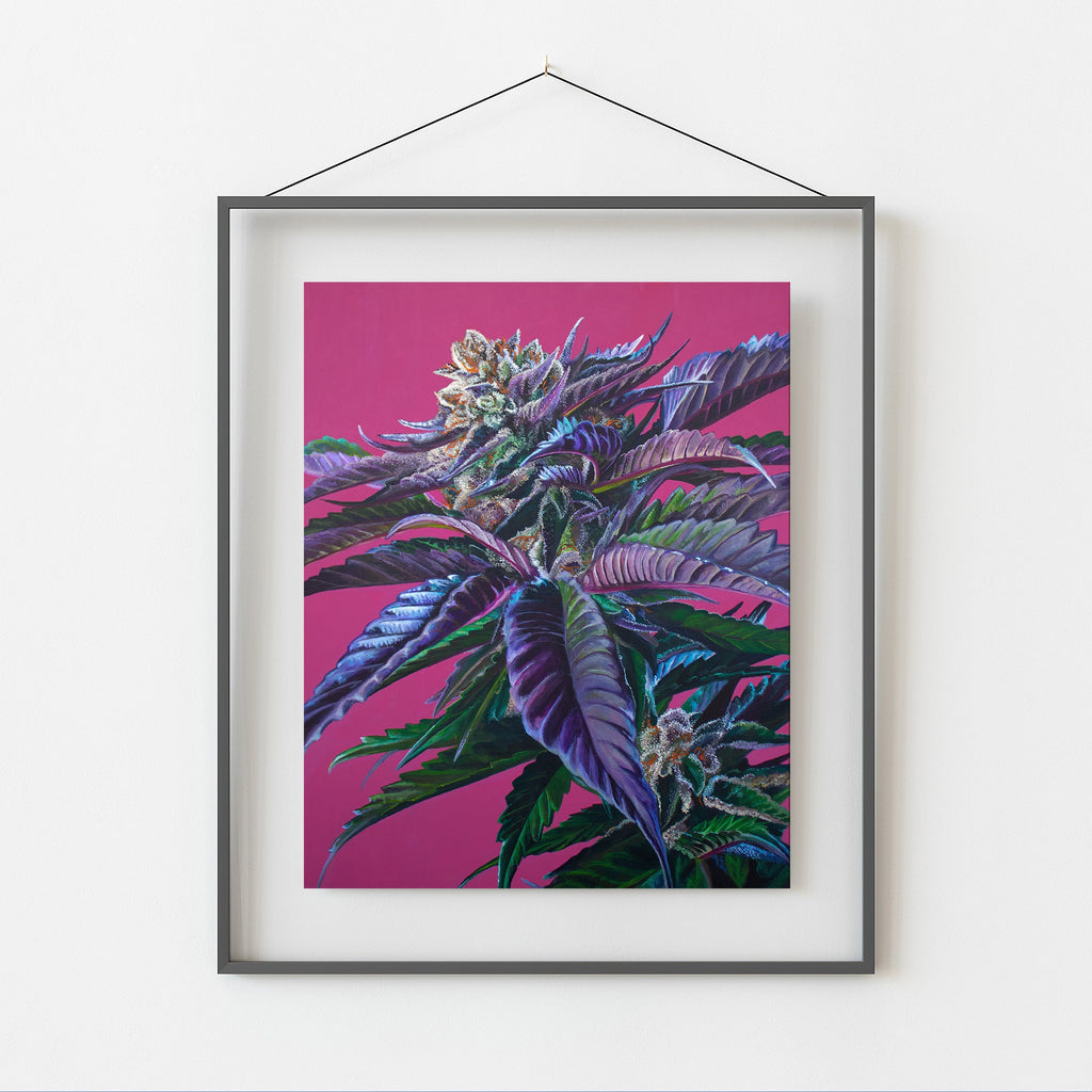 Tropicana Punch 8x10 Print